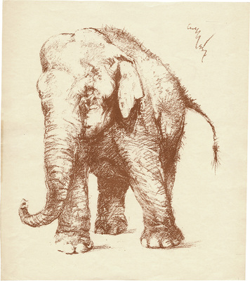 Шендеров Александр Семёнович. Слон 